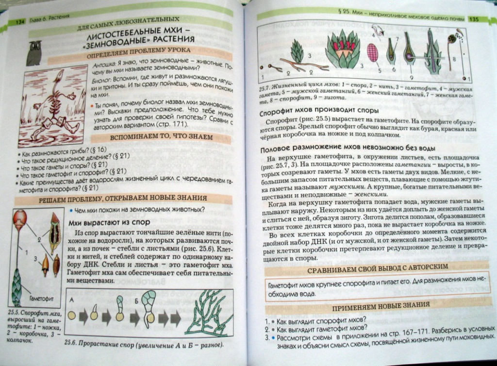 Учебник Бунеев Русский Язык 6 Класс